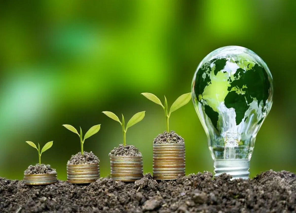 Plant Sales & Supply